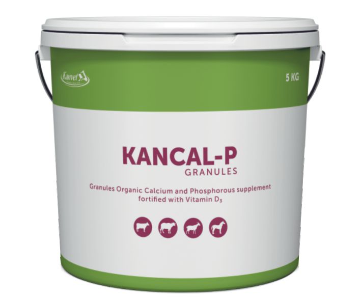 Kancal-P Granules